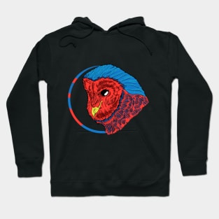 Owl Hoodie